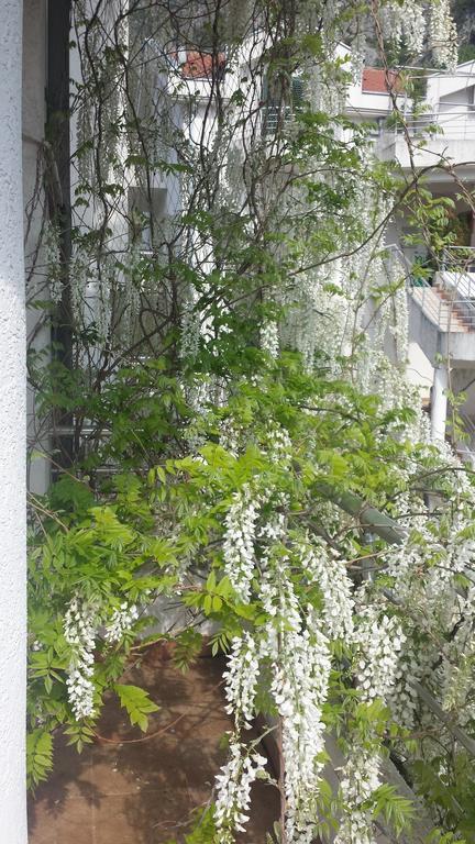 Roman Gardens Studio Apartment Рисан Экстерьер фото